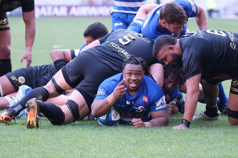 Stormers lose to Toulon in Gqeberha | News Article