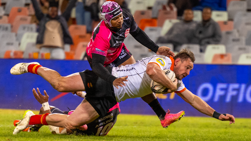 Skolie braced for battle of big cats Skolie braced for battle of big cats | News Article