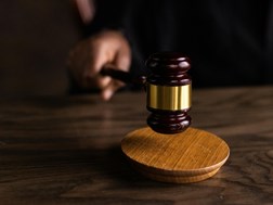 Veediefstal tref nie net boere, maar hele land – RPO | News Article