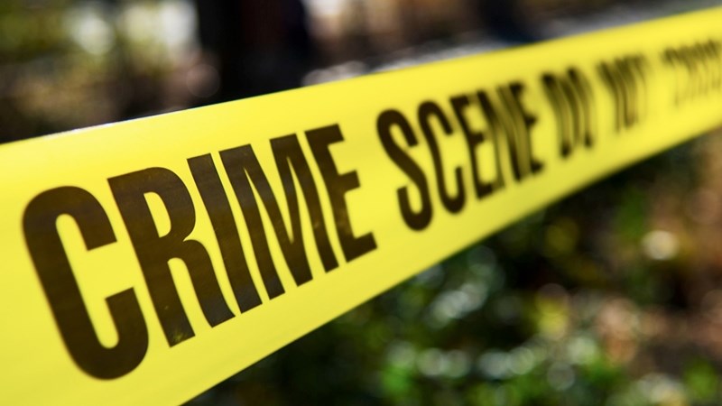 Agri News Podcast: DA condemns 'plague of farm attacks' Agri News Podcast: DA condemns 'plague of farm attacks' | News Article
