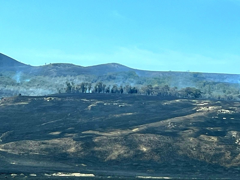 Oos-Vrystaatse boere kort dringend ramphulp ná vernietigende brande   | News Article
