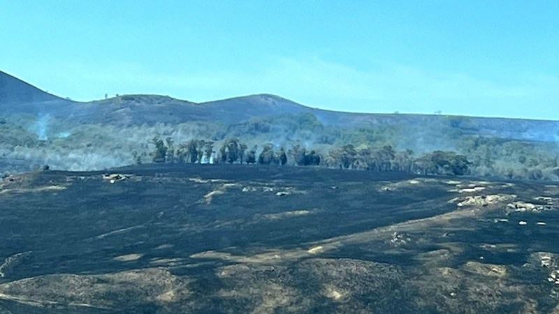 Oos-Vrystaatse boere kort dringend ramphulp ná vernietigende brande   | News Article