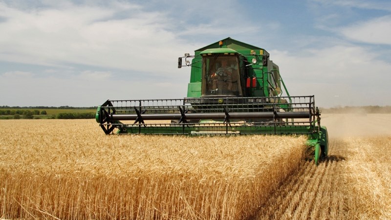 Agri-Uur: Jongste Safex-nuus | News Article
