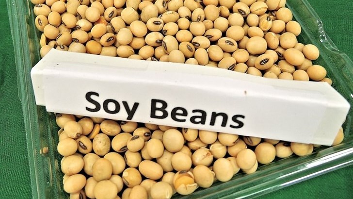Agri-Uur: Jongste Safex-nuus Agri-Uur: Jongste Safex-nuus | News Article