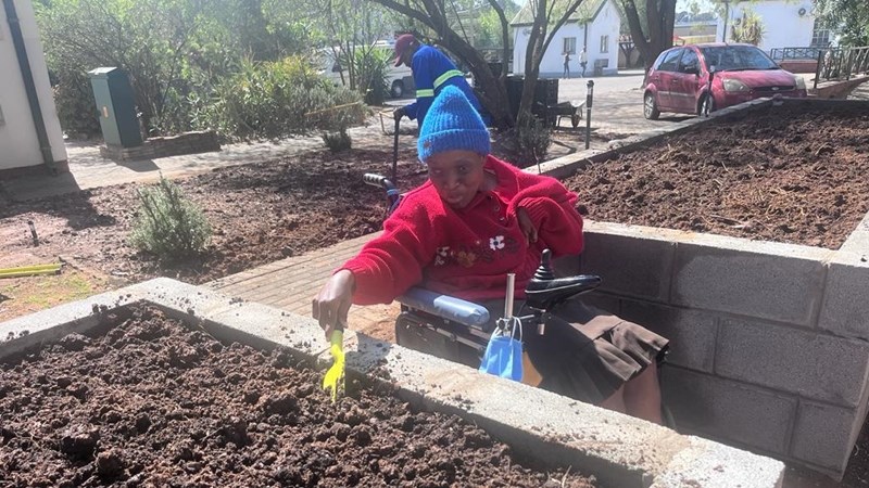 Bloemfonteinse tehuis droom van toeganklike groentetuin Bloemfonteinse tehuis droom van toeganklike groentetuin | News Article