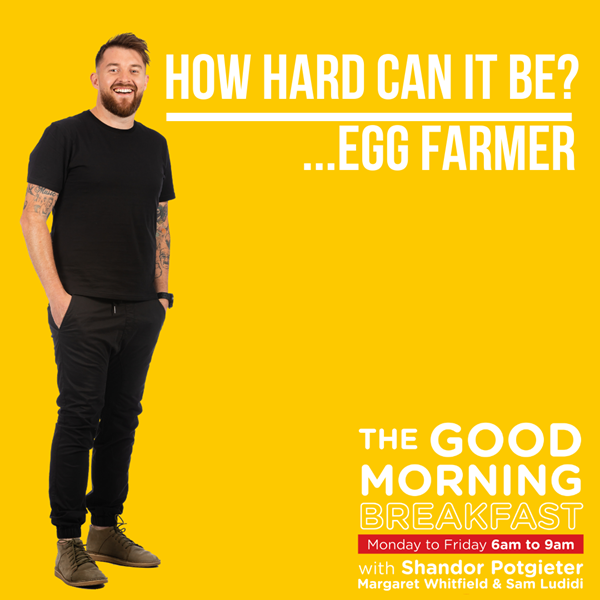 How hard can it be: Egg Farmer  | News Article
