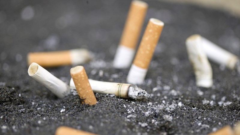 Man convicted for smuggling cigarettes | News Article