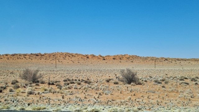 Namib-droogte op mespunt, kruip na Suid-Afrika | News Article