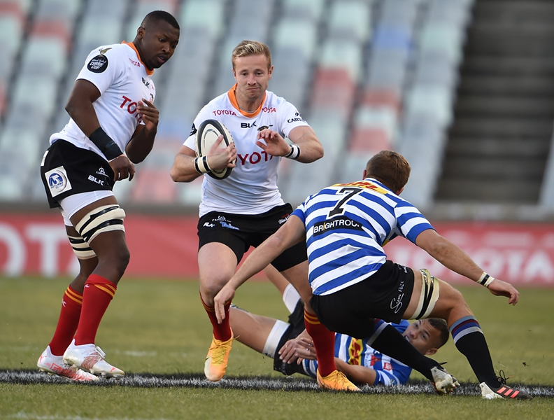 Cheetahs wary of dangerous Sharks | News Article