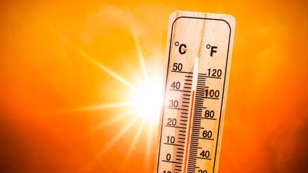 How to stay safe during heatwaves in Central SA | News Article