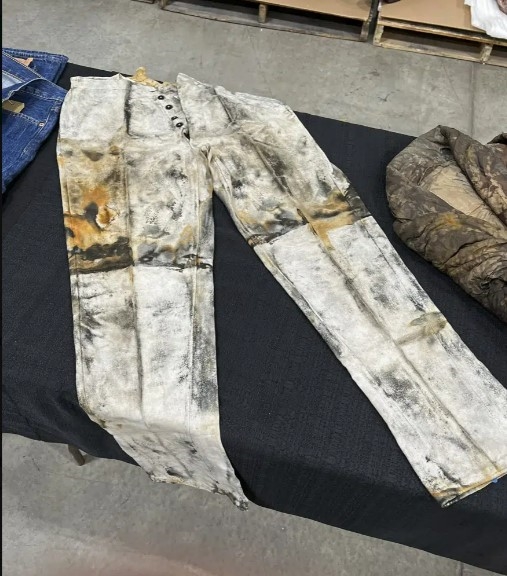 Weird Wide Web: Wêreld se oudste jean uit skeepswrak opgediep | News Article
