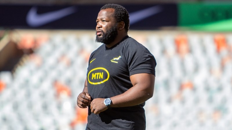 Nché withdrawn from Test against Los Pumas Nché withdrawn from Test against Los Pumas | News Article