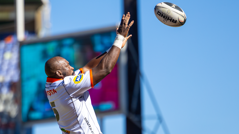Cheetahs captain Sekekete reaches 100-game milestone Cheetahs captain Sekekete reaches 100-game milestone | News Article