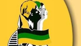 ANCWL celebrates women in leading positions | News Article