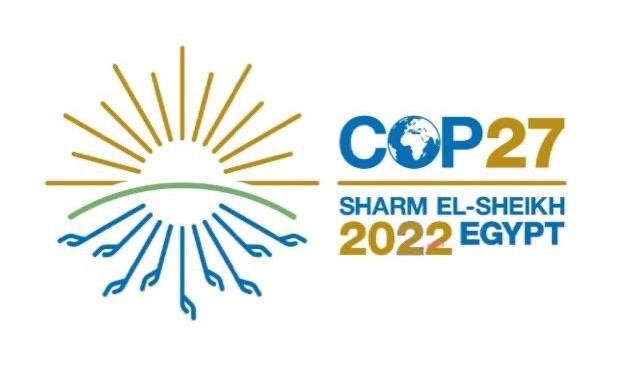 TotalEnergies CEO challenged at COP27 | News Article