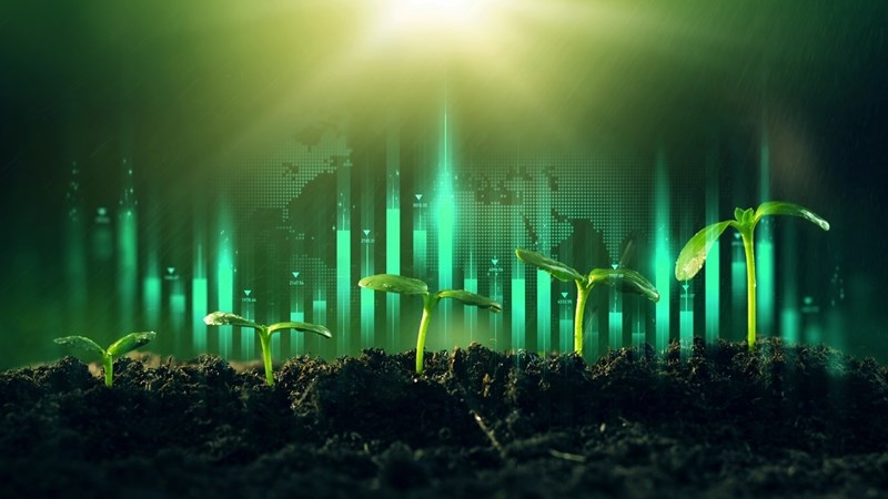 AgriSA se vooruitskouing vir 2025: ‘Krag van sektor lê in verhoudings’ AgriSA se vooruitskouing vir 2025: ‘Krag van sektor lê in verhoudings’ | News Article
