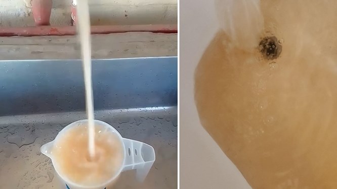 Matjhabeng-amptenare gevra om bruin water in openbaar te drink Matjhabeng-amptenare gevra om bruin water in openbaar te drink | News Article