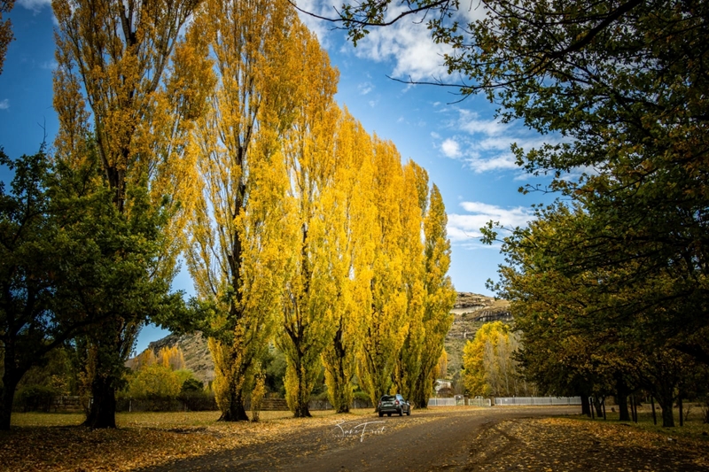Toerisme in Clarens word deur beurtkrag geknou | News Article