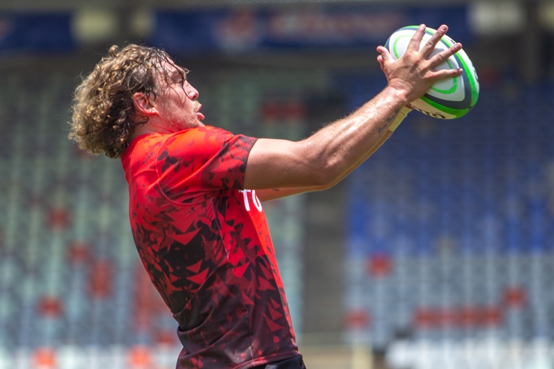 Cheetahs wary of wounded Lions | News Article