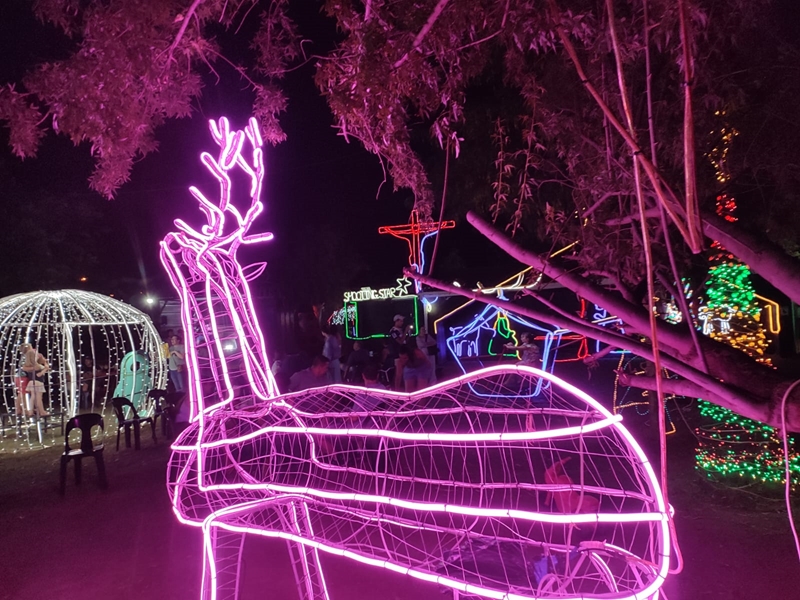 Bloemfontein SPCA lights up the city for Christmas  | News Article
