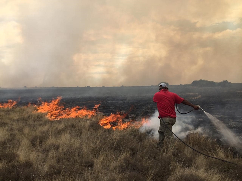 Boere in afwagting op reën ná ‘ergste brande’ in Philippolis-distrik  | News Article