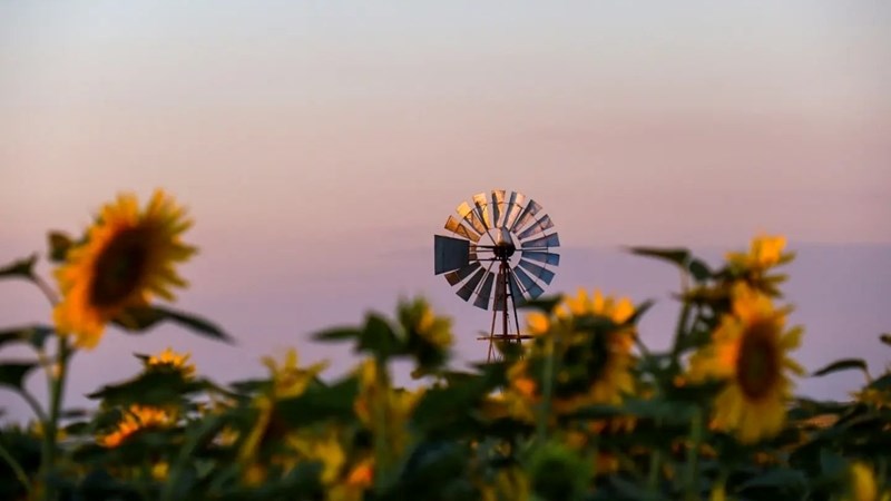 Vrystaat Landbou stel nuwe hoofbestuurder aan Vrystaat Landbou stel nuwe hoofbestuurder aan | News Article