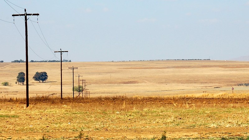 Landbounuus-podcast: Weerstand teen onkruiddoders hou nadele vir gewasboere in Landbounuus-podcast: Weerstand teen onkruiddoders hou nadele vir gewasboere in | News Article