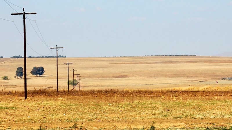 Landbounuus-podcast: Weerstand teen onkruiddoders hou nadele vir gewasboere in | News Article