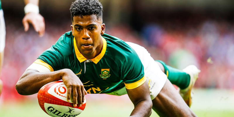 Boks target strong start against the All Blacks | News Article