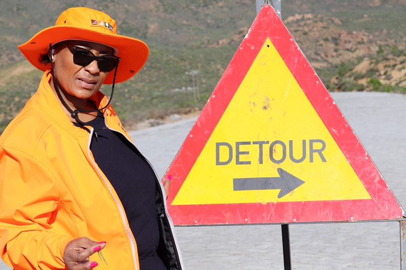 Noord-Kaapse paaie betyds vir blomseisoen herstel | News Article