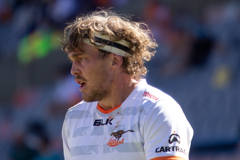Davis back and training with the Cheetahs | OFM