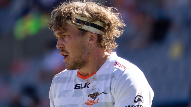 Davis back and training with the Cheetahs | News Article