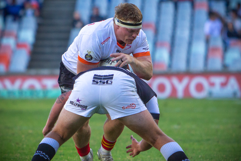 Cheetahs to front up physically against the Sharks | News Article