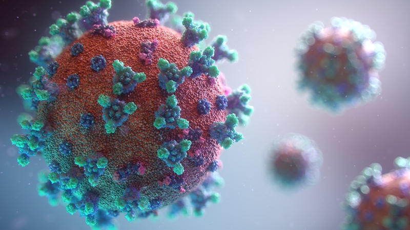 C.1.2 #Covid19 variant found in three Free State districts | News Article