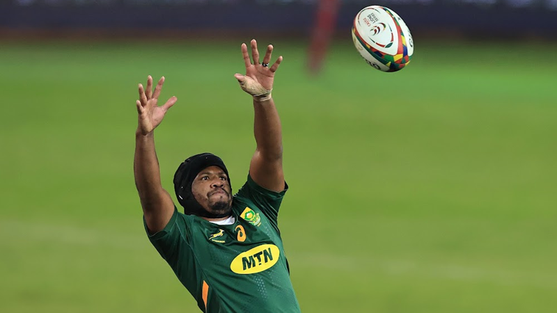 Springboks opt for continuity against the Wallabies Springboks opt for continuity against the Wallabies | News Article