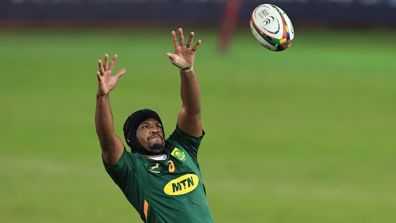 Springboks opt for continuity against the Wallabies | News Article