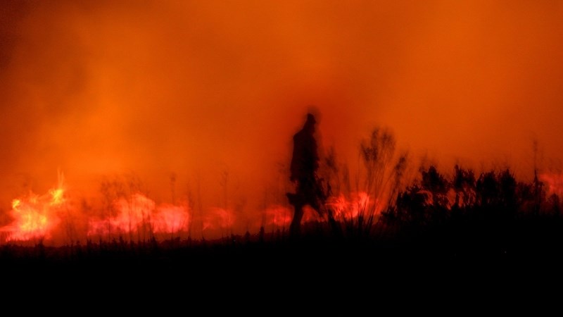 Damage after historical FS veld #fires amounts to millions | News Article