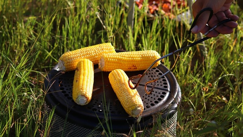 Agri-uur: Jongste Safex-nuus Agri-uur: Jongste Safex-nuus | News Article