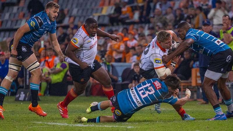 Cheetahs look to turn bounce in their favour against Griquas Cheetahs look to turn bounce in their favour against Griquas | News Article