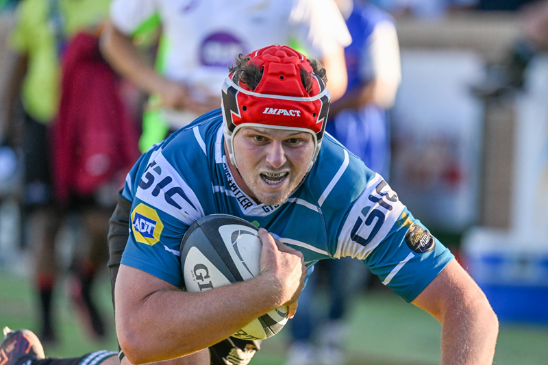 Griquas braced for Sharks challenge | News Article