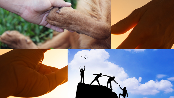 Feel Good Friday – Rol klippe uit die pad Feel Good Friday – Rol klippe uit die pad | News Article