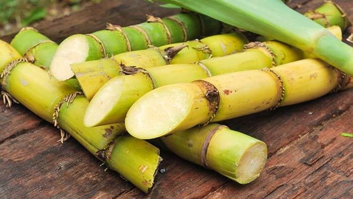#OFMBusinessHour - Assistance may be on the horizon for KZN cane growers crippled by unrest #OFMBusinessHour - Assistance may be on the horizon for KZN cane growers crippled by unrest | News Article