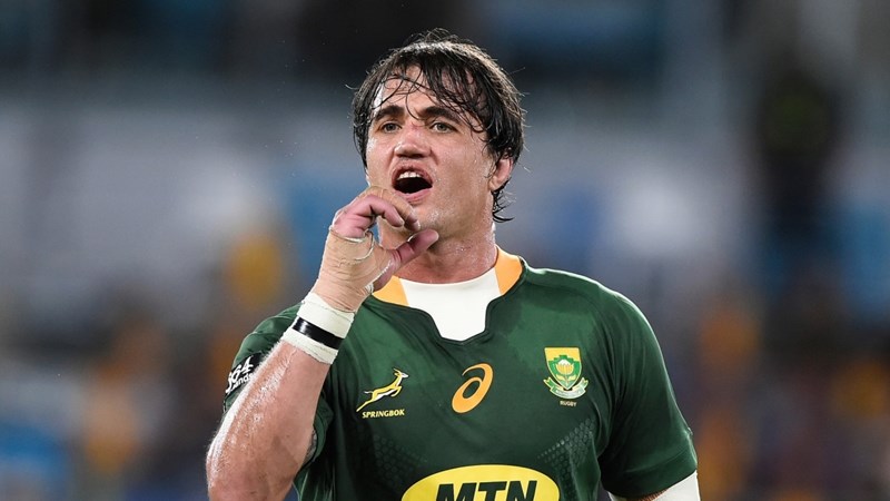 Mood in the Springbok camp remains upbeat | News Article