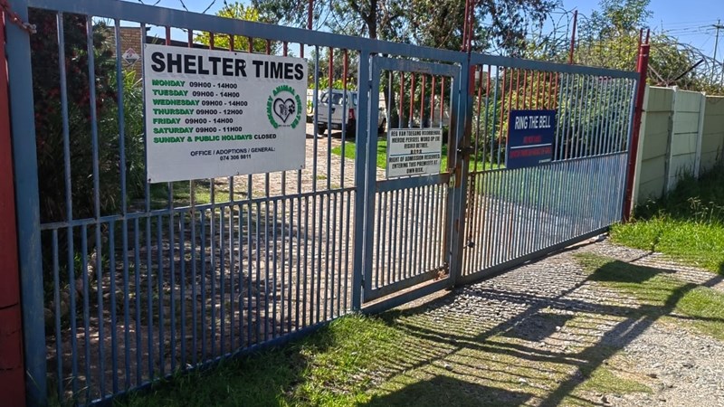 Criminal activities a 'headache' for North West-based animal shelter | News Article