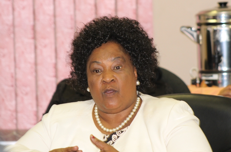 Take pride in your culture and heritage: Free State premier  | News Article