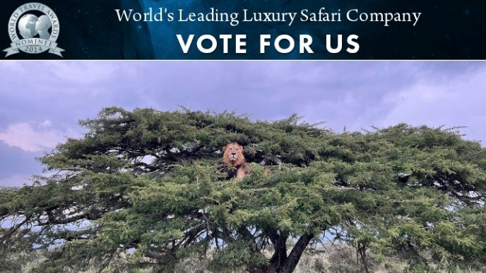 Win Kruger getaway! Win Kruger getaway! | News Article