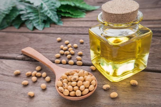 #Agbiz: IGC maintains an optimistic view on 2021/22 global grains and oilseed production | News Article