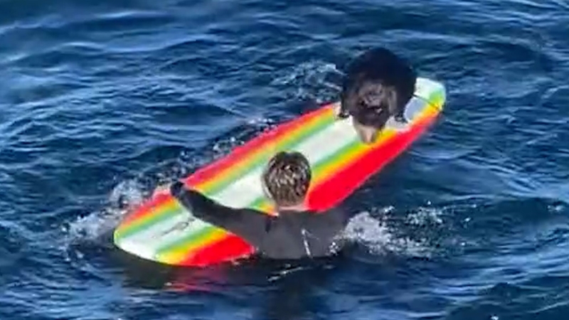 Weird Wide Web - See-otter laat branderplankryers groot skrik | News Article