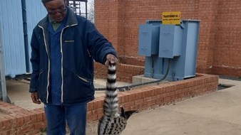Northern Cape residents left in the dark Northern Cape residents left in the dark | News Article