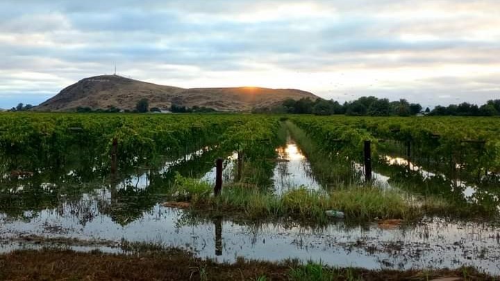 ‘Bid vir boerderygemeenskappe langs Oranjerivier’ ‘Bid vir boerderygemeenskappe langs Oranjerivier’ | News Article